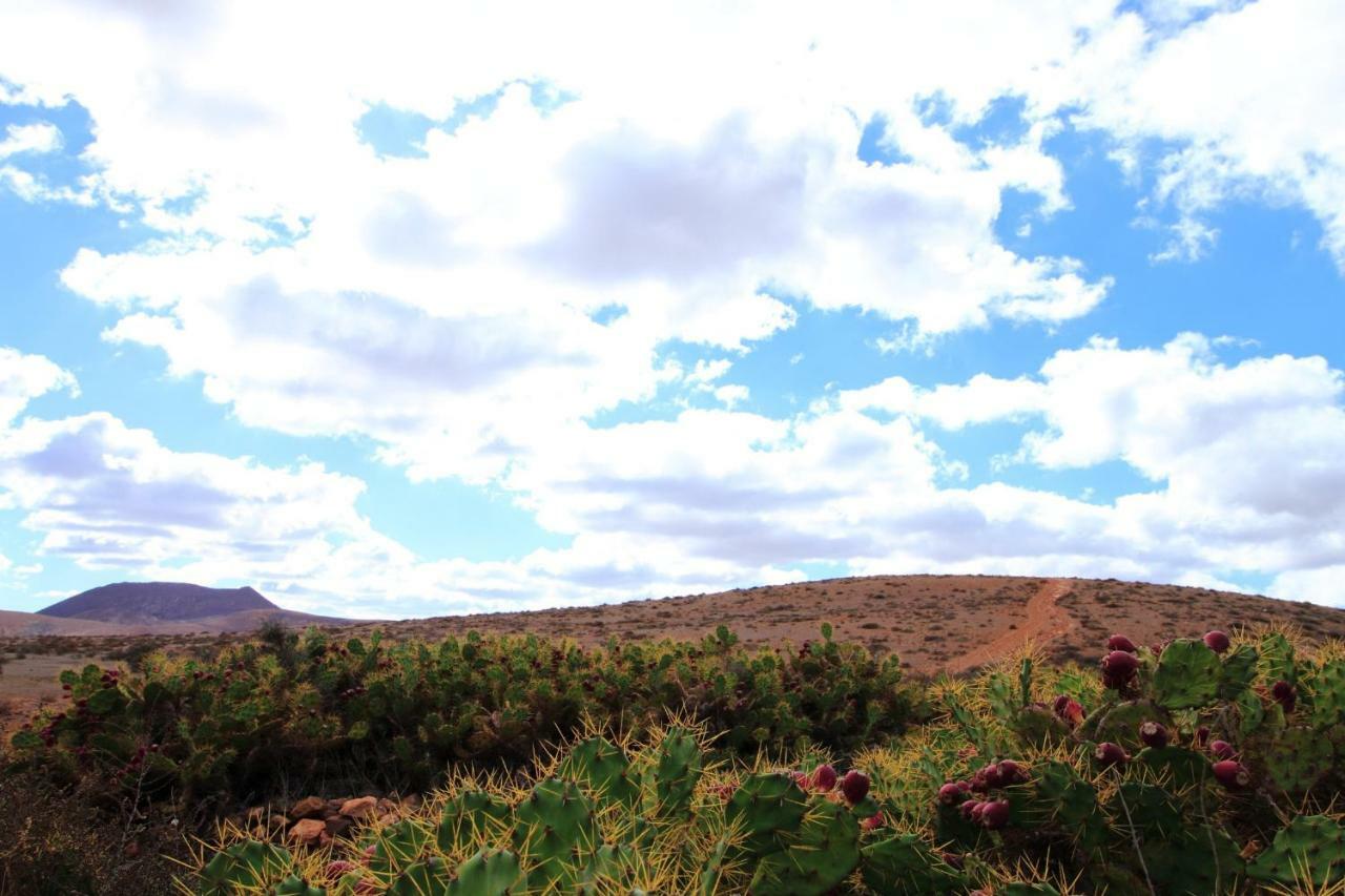 Montana Valles De Ortega - A Bagian luar foto